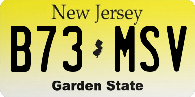 NJ license plate B73MSV