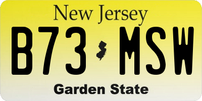 NJ license plate B73MSW