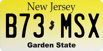NJ license plate B73MSX