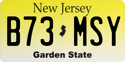NJ license plate B73MSY
