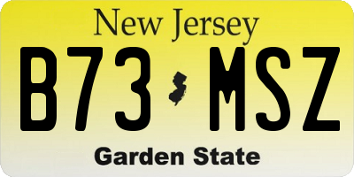 NJ license plate B73MSZ