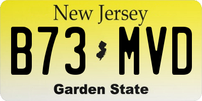 NJ license plate B73MVD