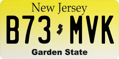 NJ license plate B73MVK