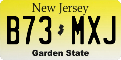 NJ license plate B73MXJ