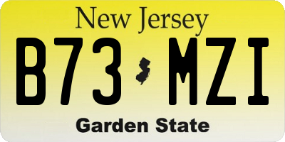 NJ license plate B73MZI