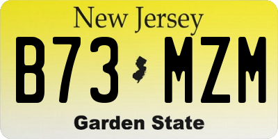 NJ license plate B73MZM