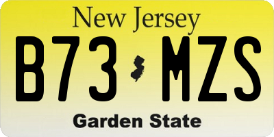 NJ license plate B73MZS