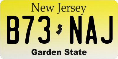 NJ license plate B73NAJ