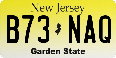 NJ license plate B73NAQ