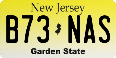 NJ license plate B73NAS