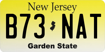 NJ license plate B73NAT