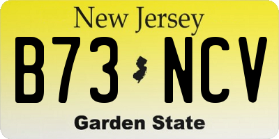 NJ license plate B73NCV