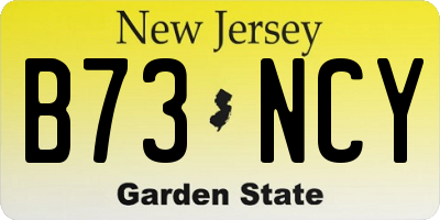 NJ license plate B73NCY