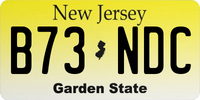 NJ license plate B73NDC