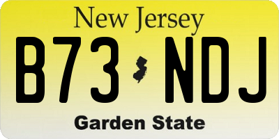 NJ license plate B73NDJ
