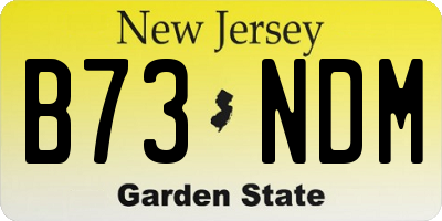 NJ license plate B73NDM