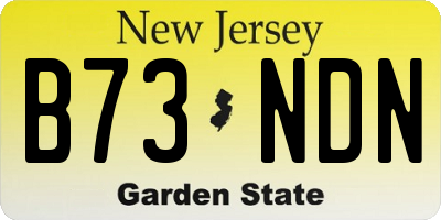 NJ license plate B73NDN