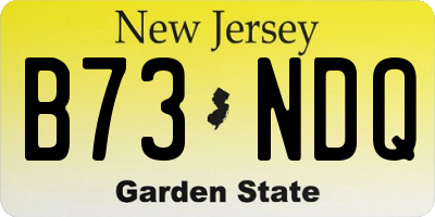 NJ license plate B73NDQ
