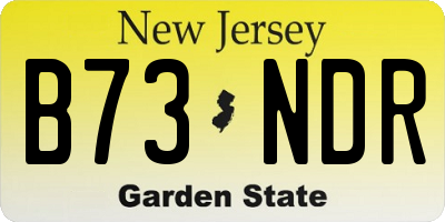 NJ license plate B73NDR