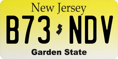 NJ license plate B73NDV