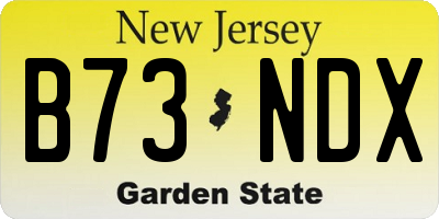 NJ license plate B73NDX