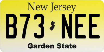 NJ license plate B73NEE