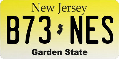 NJ license plate B73NES