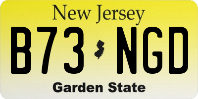 NJ license plate B73NGD