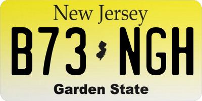NJ license plate B73NGH