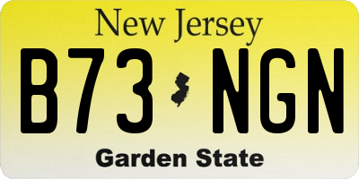 NJ license plate B73NGN
