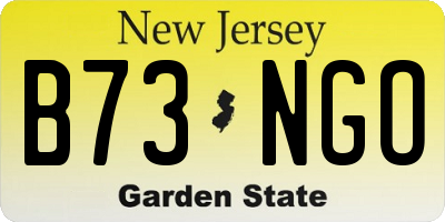 NJ license plate B73NGO