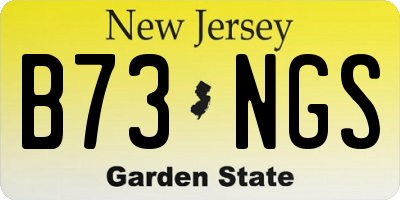 NJ license plate B73NGS