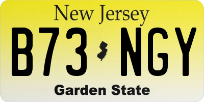 NJ license plate B73NGY