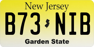 NJ license plate B73NIB