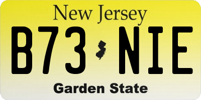 NJ license plate B73NIE