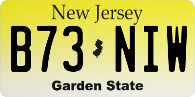 NJ license plate B73NIW