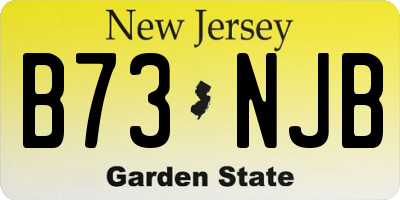 NJ license plate B73NJB