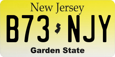 NJ license plate B73NJY
