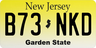 NJ license plate B73NKD