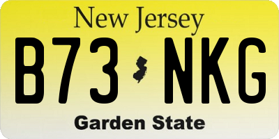 NJ license plate B73NKG