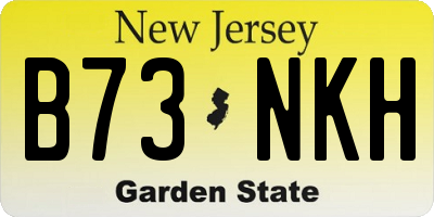 NJ license plate B73NKH