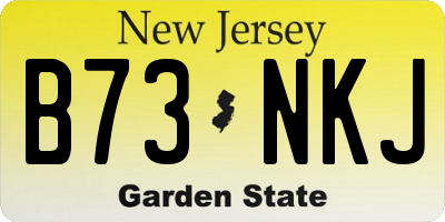 NJ license plate B73NKJ