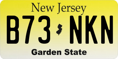 NJ license plate B73NKN