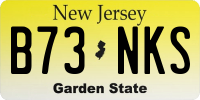 NJ license plate B73NKS