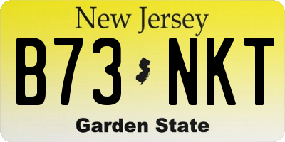 NJ license plate B73NKT