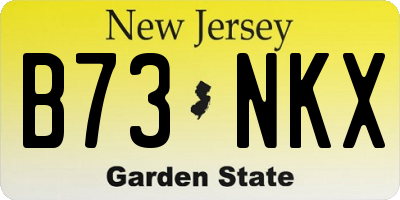 NJ license plate B73NKX