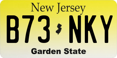 NJ license plate B73NKY