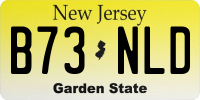 NJ license plate B73NLD