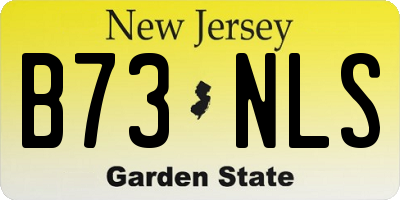 NJ license plate B73NLS