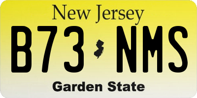 NJ license plate B73NMS